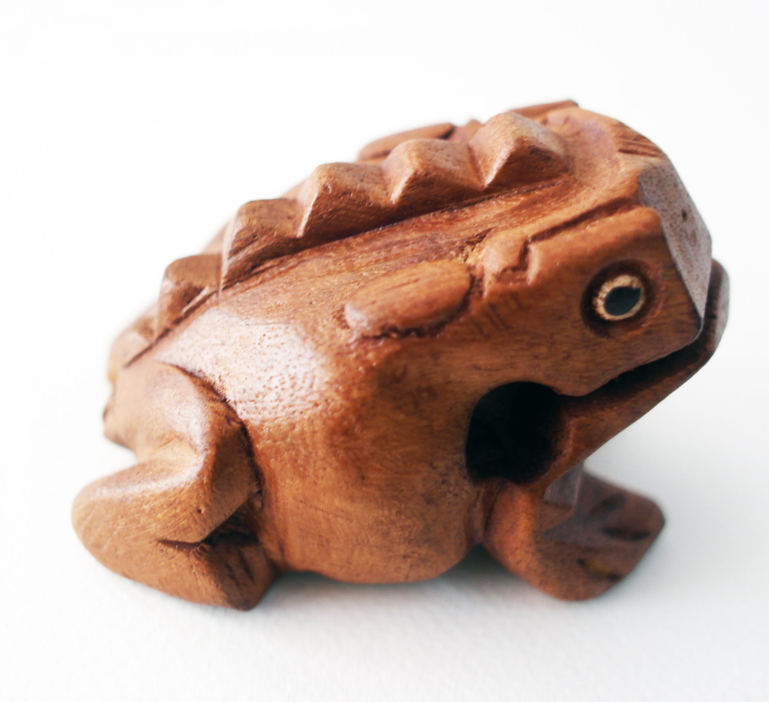 Wooden Frog